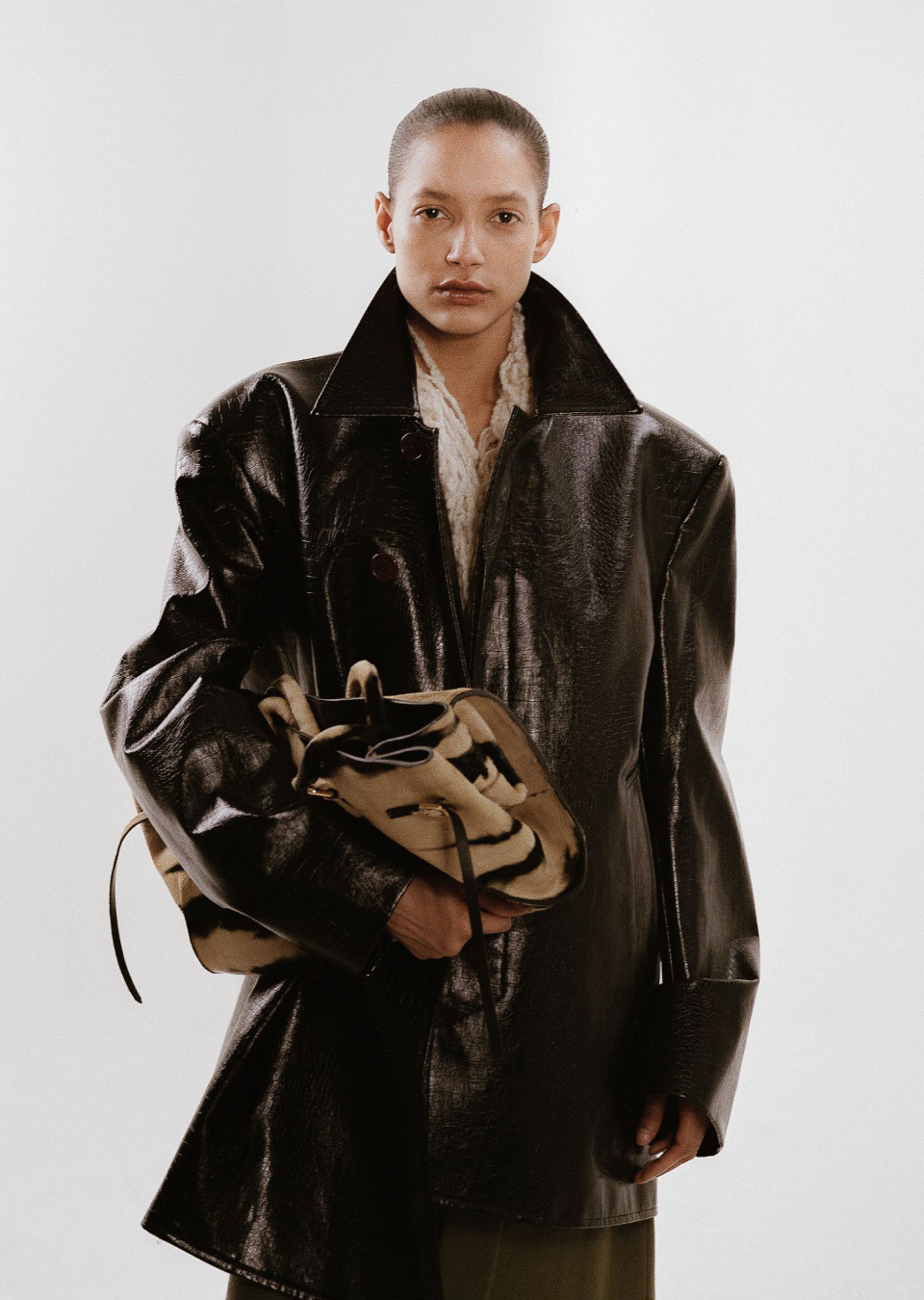 Model Image