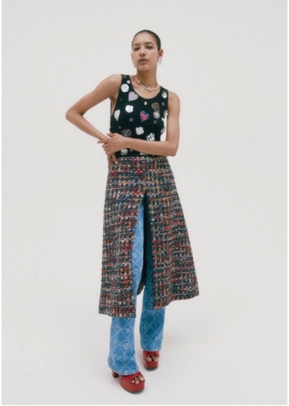 Model Image