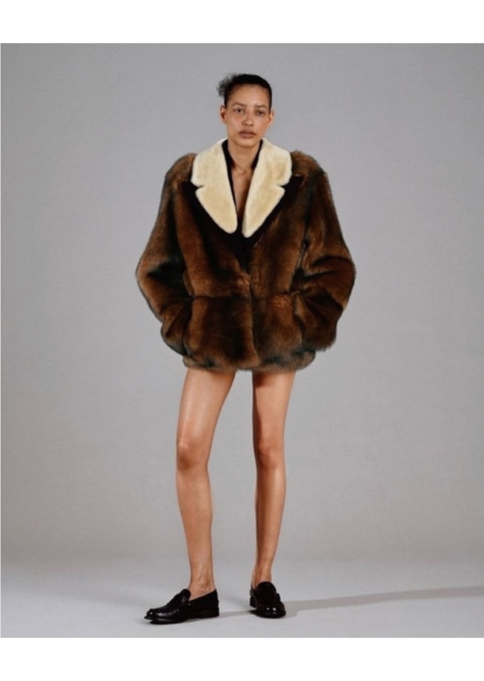 Model Image