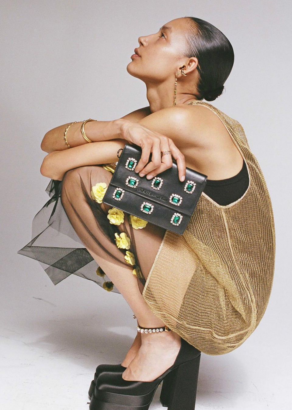 Model Image