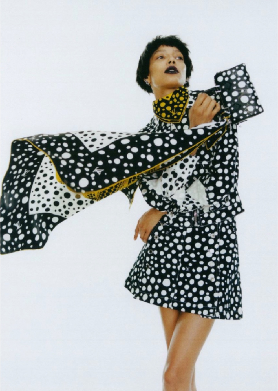 Model Image