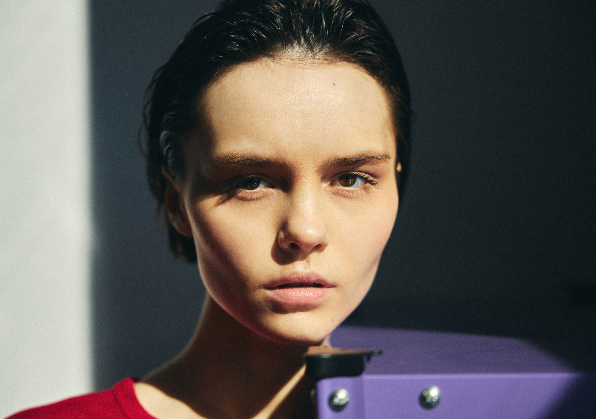 Model Image