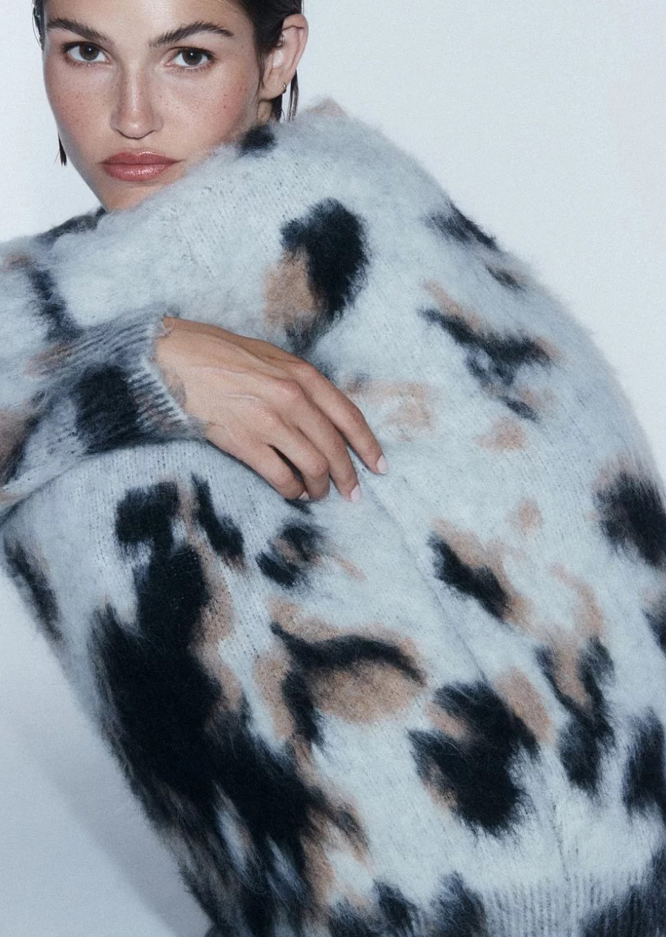 Model Image