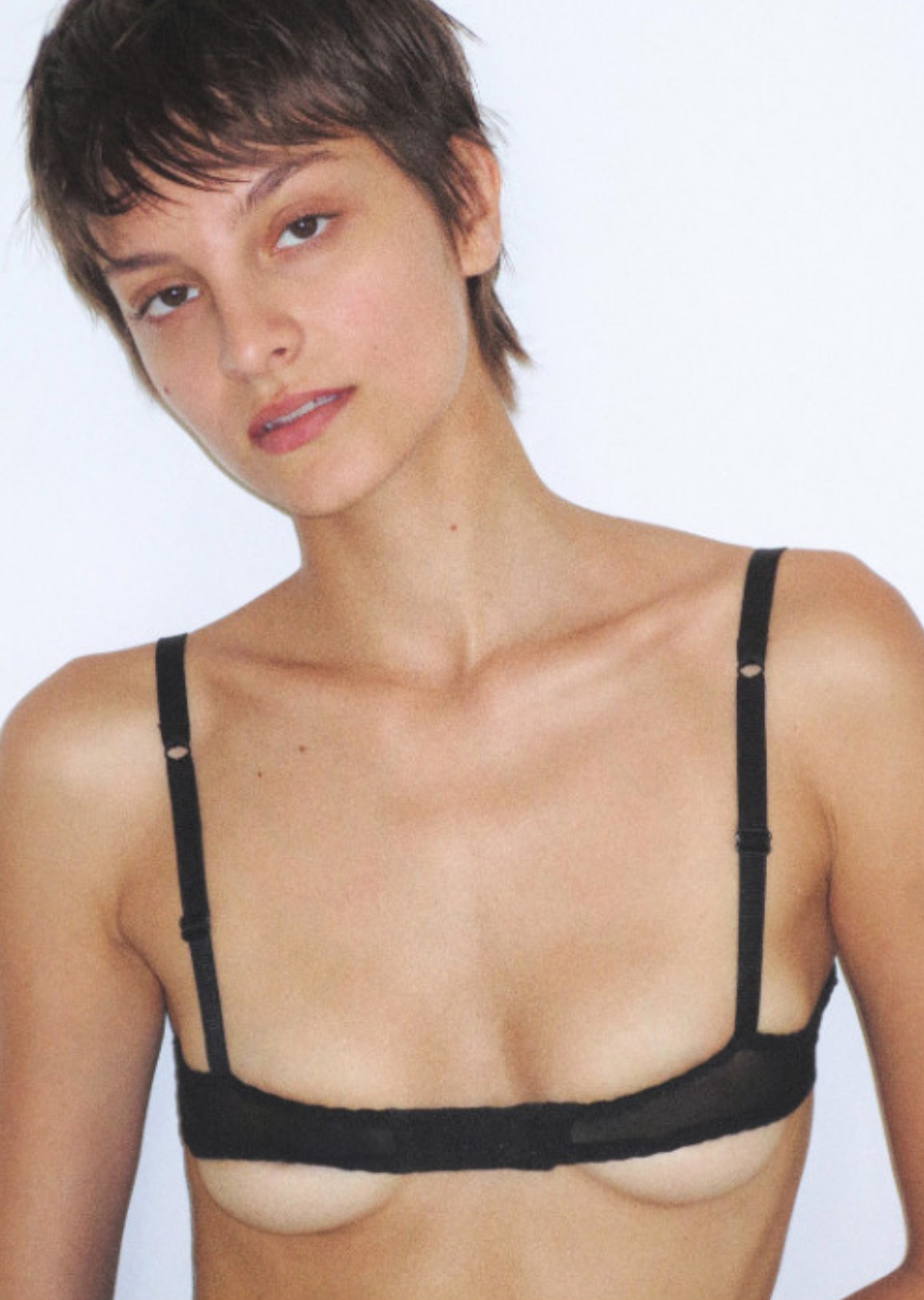 Model Image