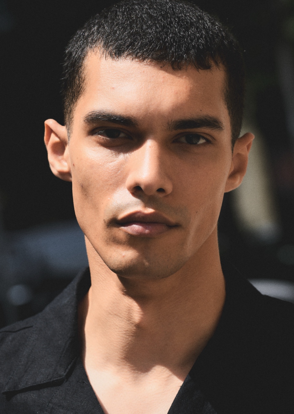Model Image