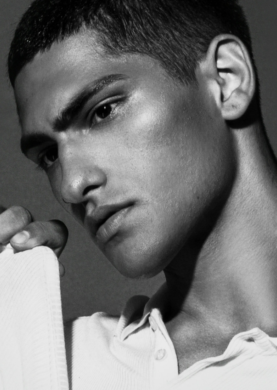 Model Image