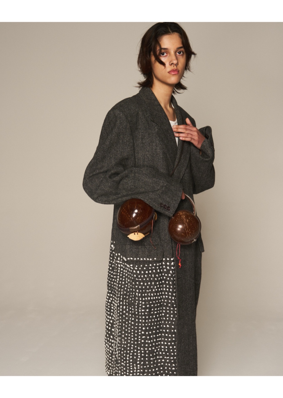 Model Image