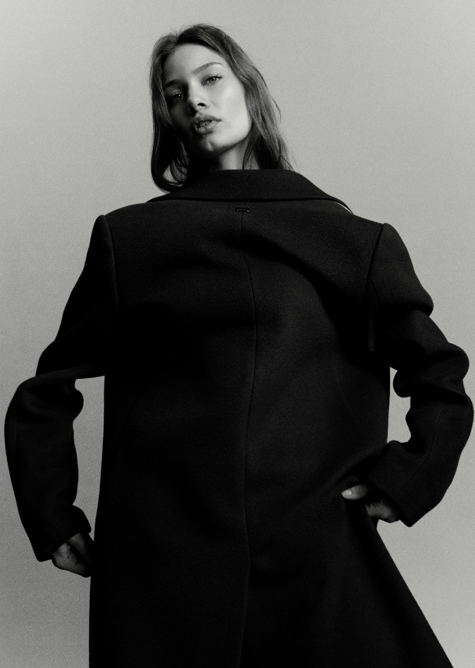 Model Image