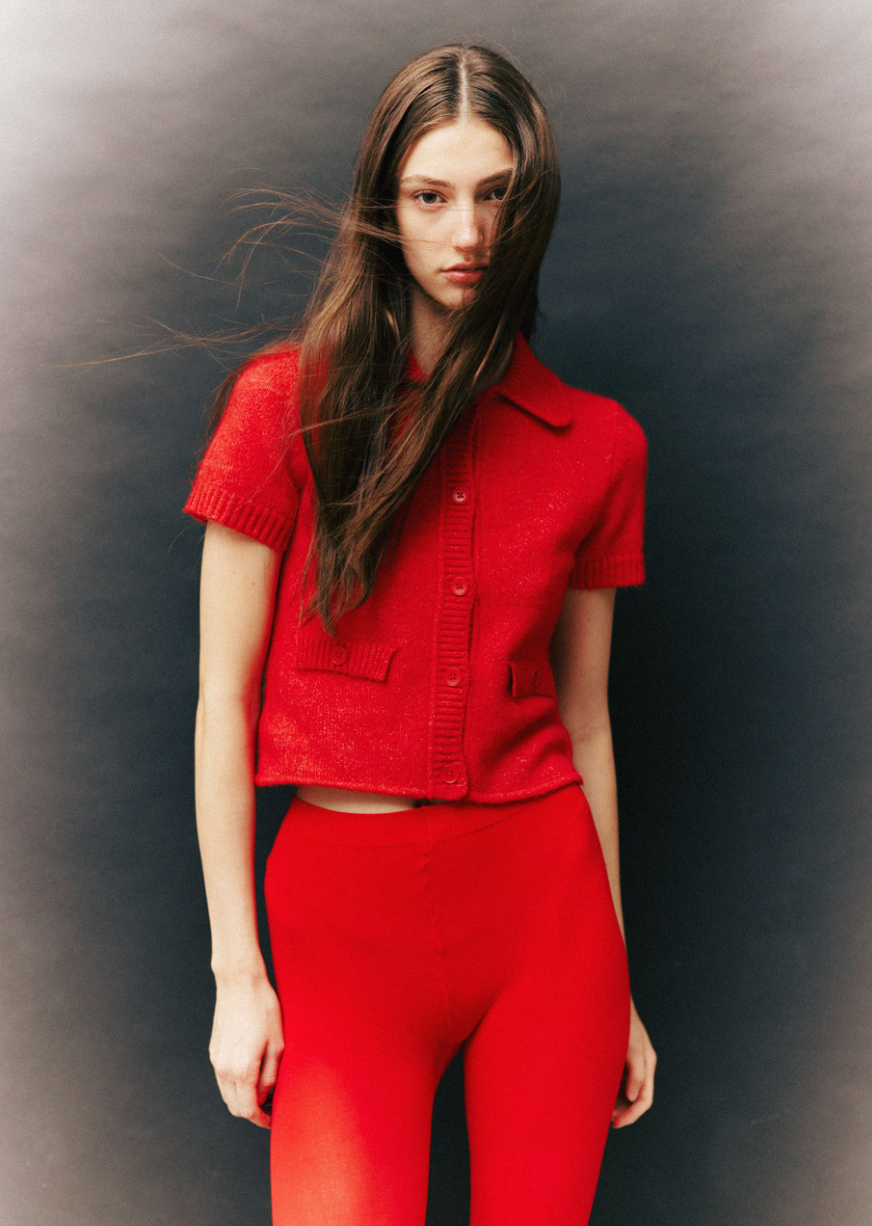 Model Image