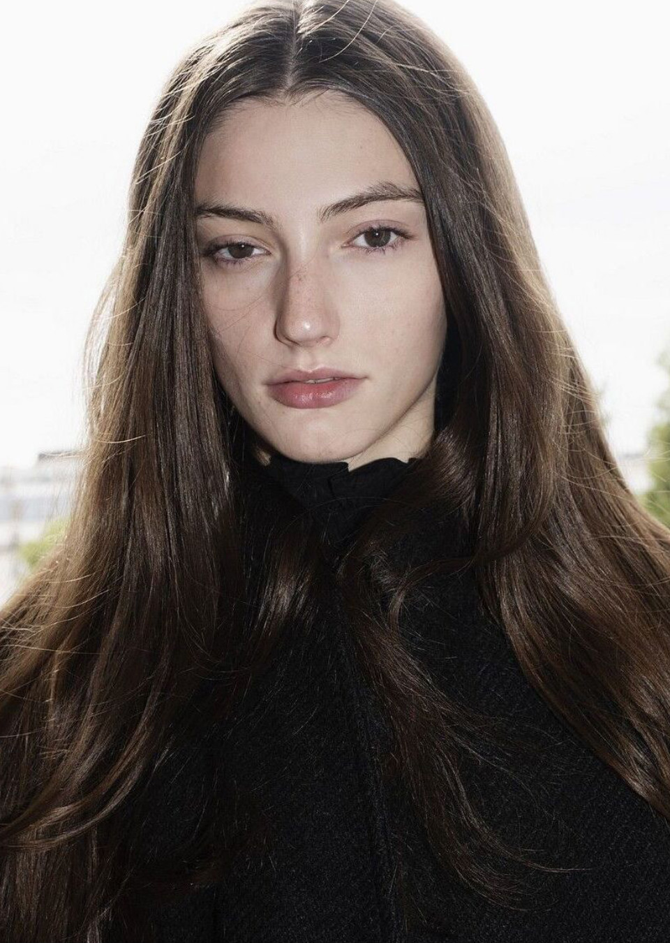 Model Image