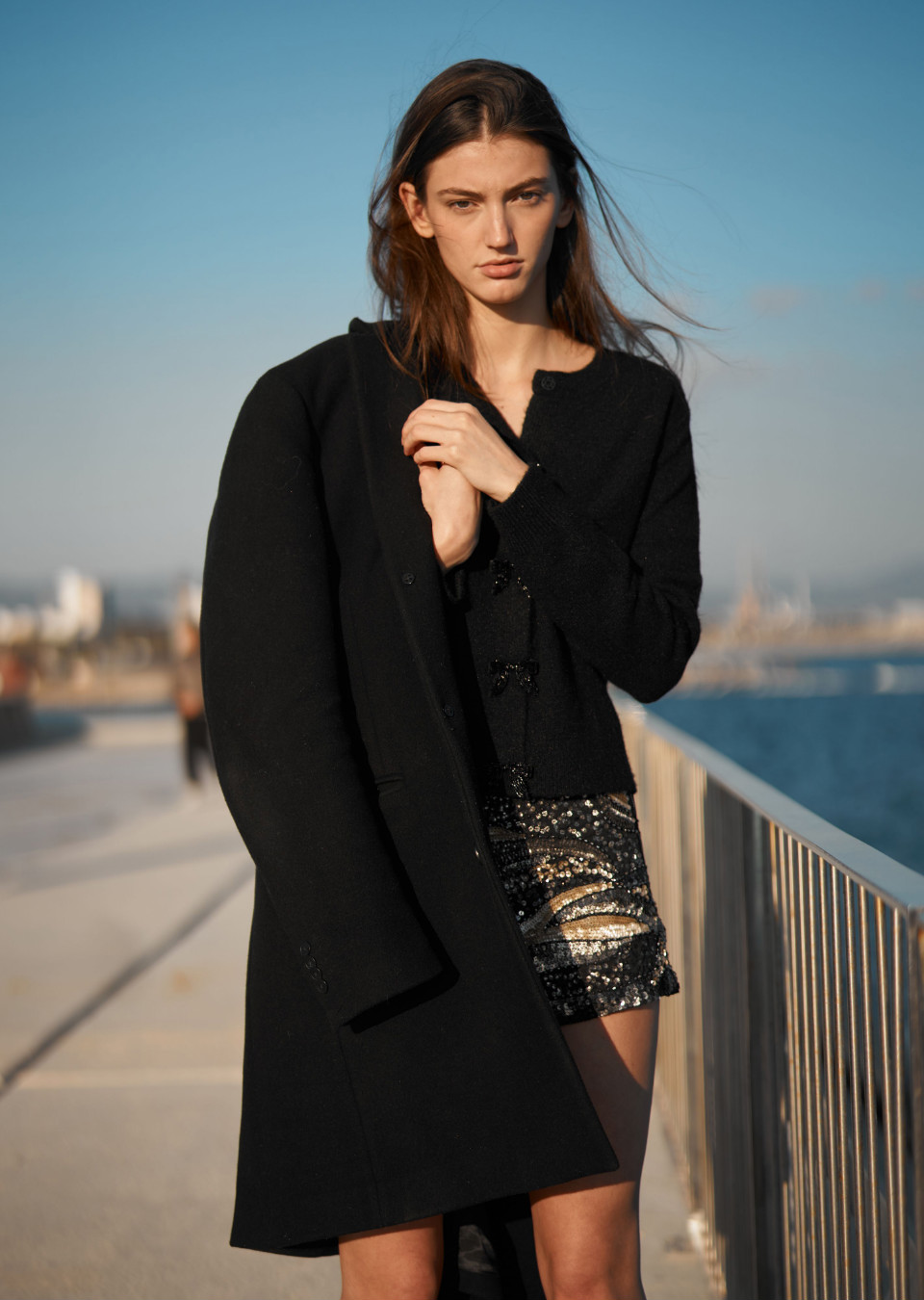 Model Image