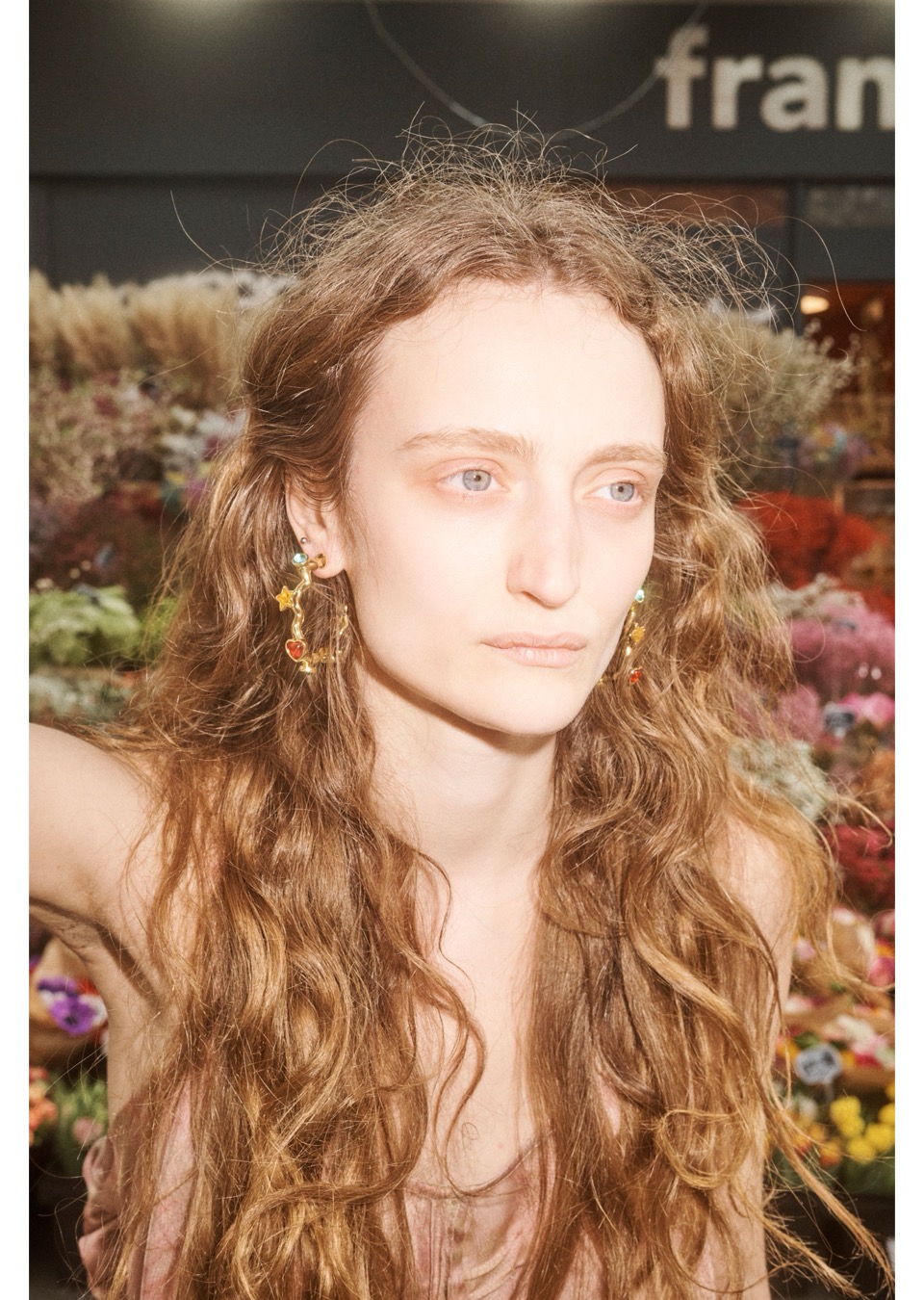 Model Image