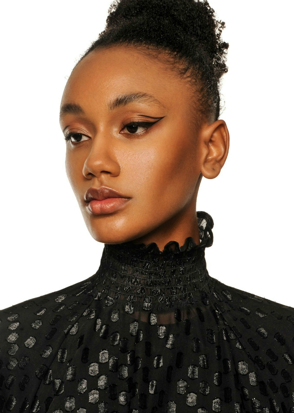 Model Image