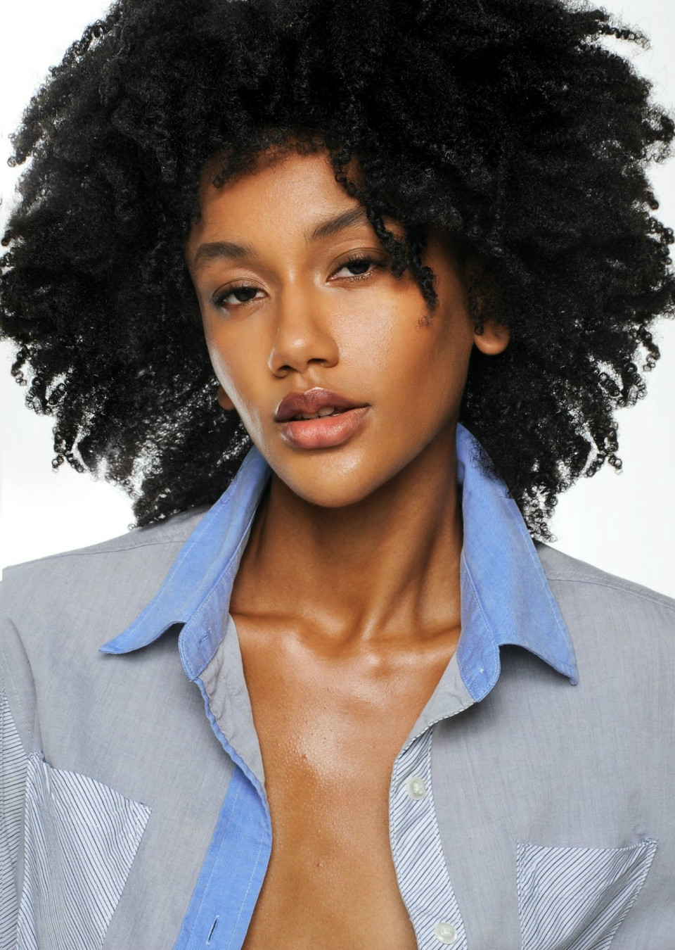 Model Image