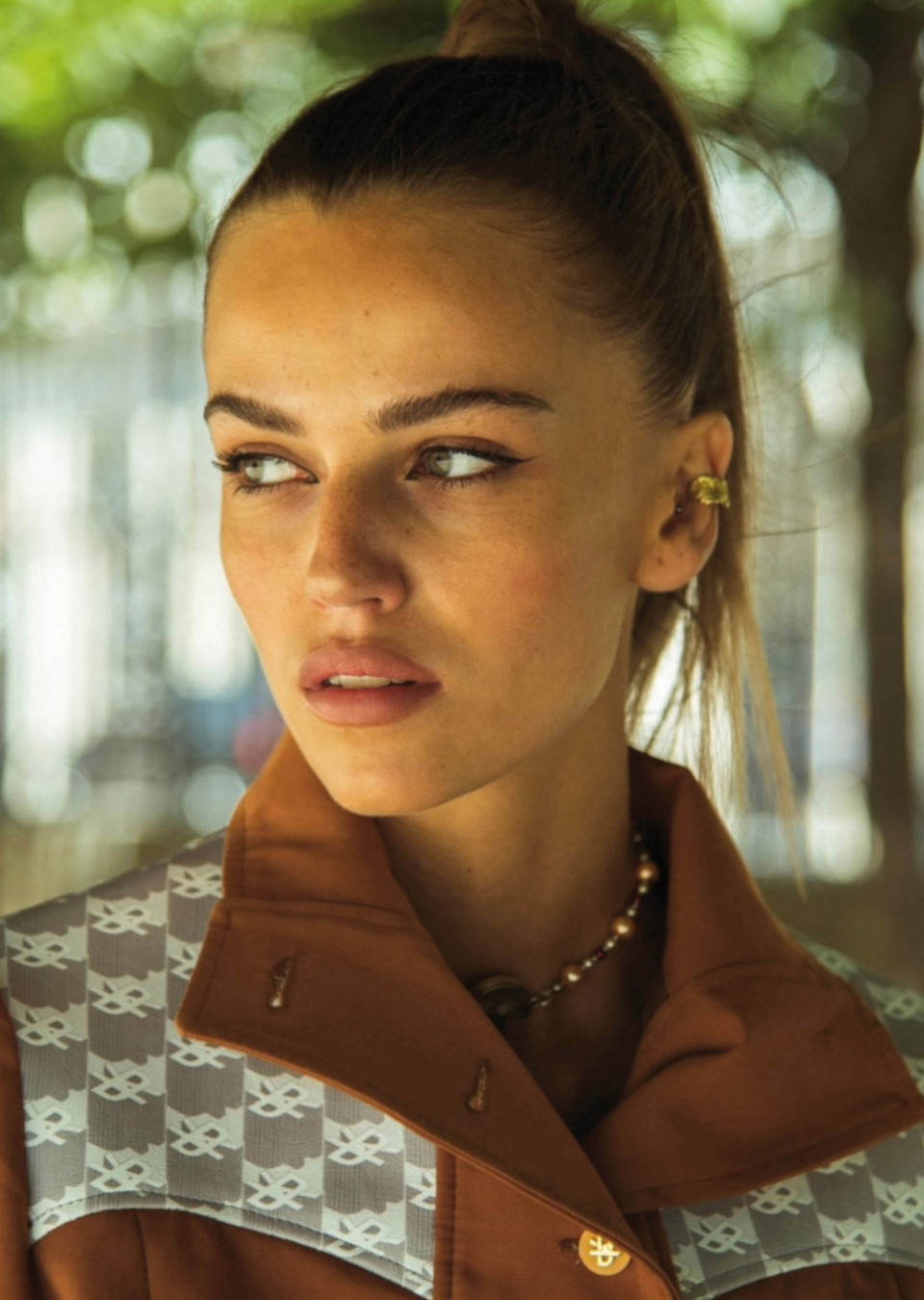 Model Image