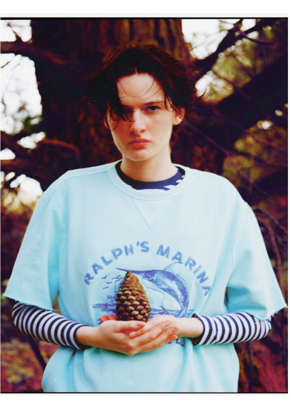Model Image