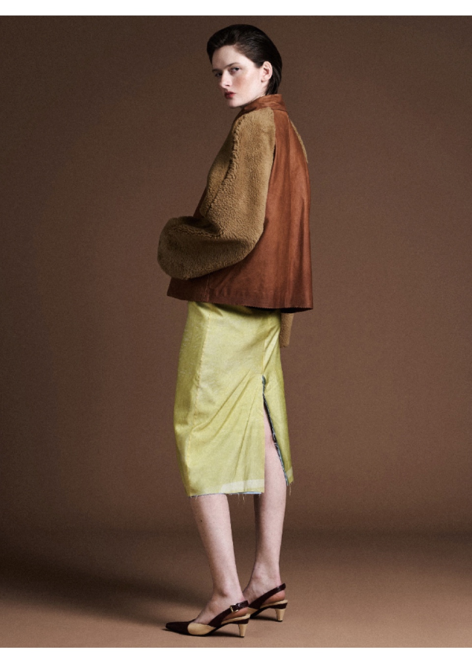 Model Image