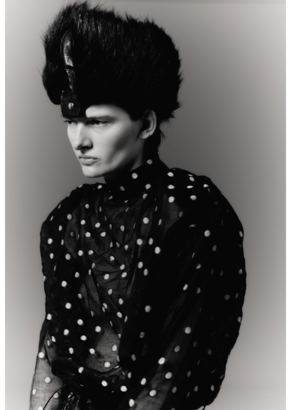 Model Image