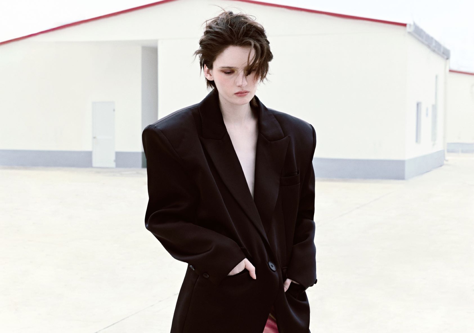 Model Image