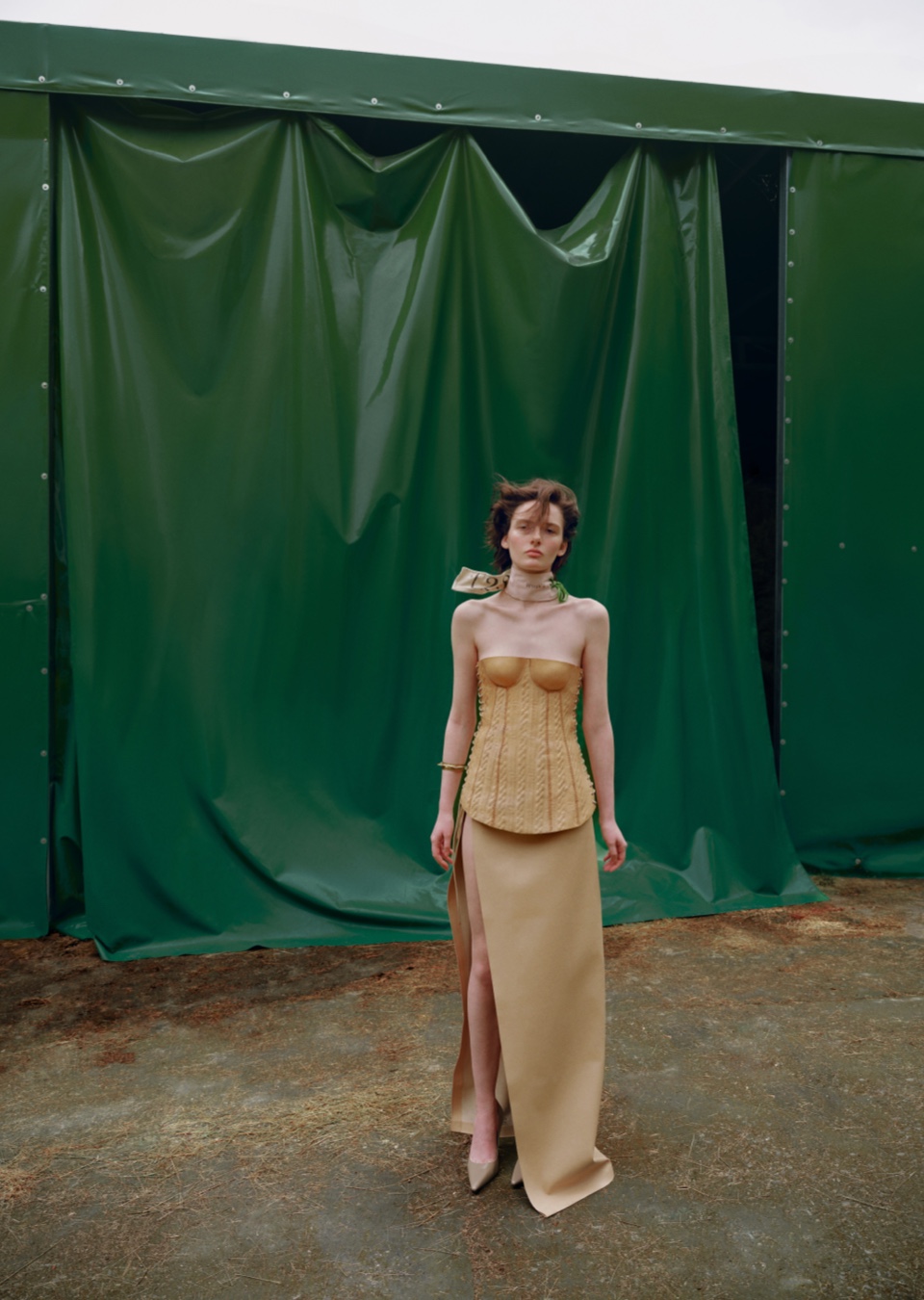 Model Image