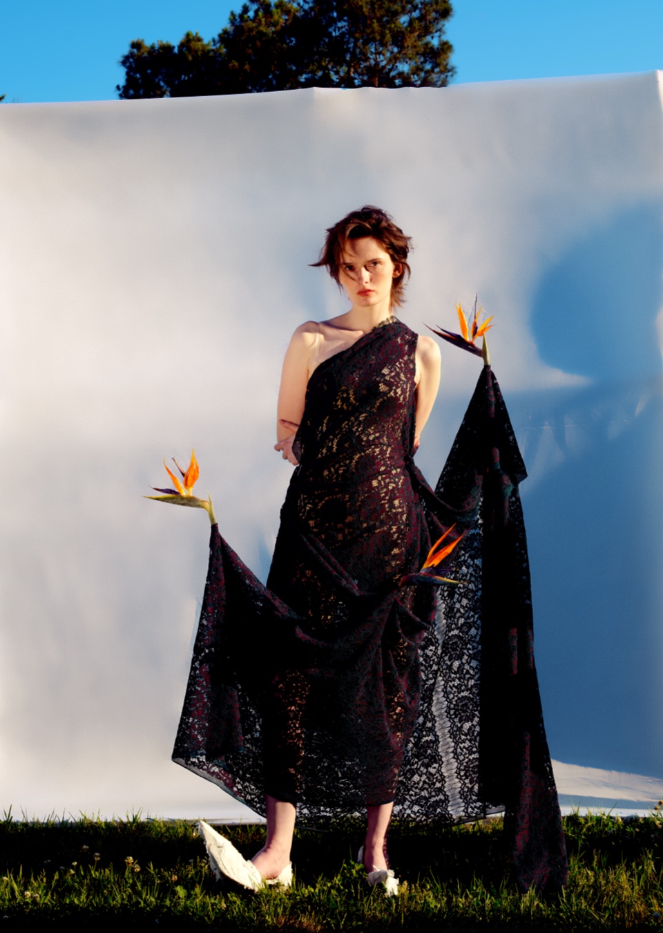 Model Image