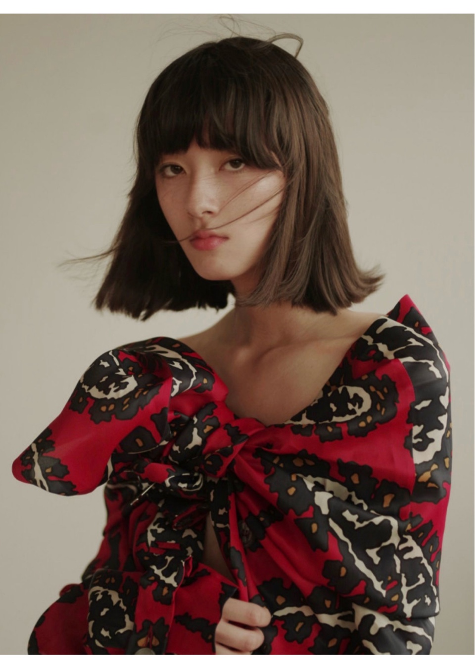 Model Image
