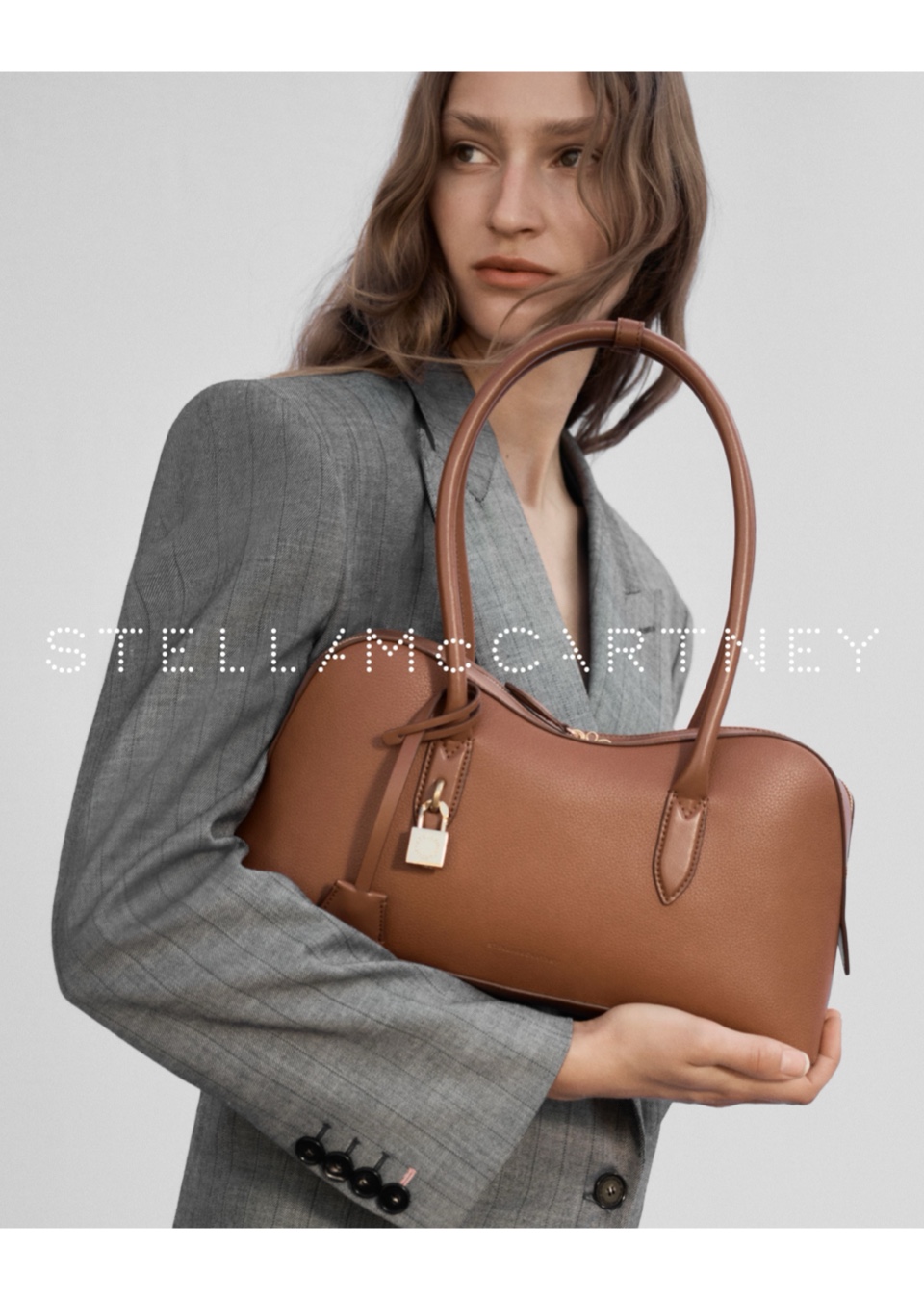 Model Image