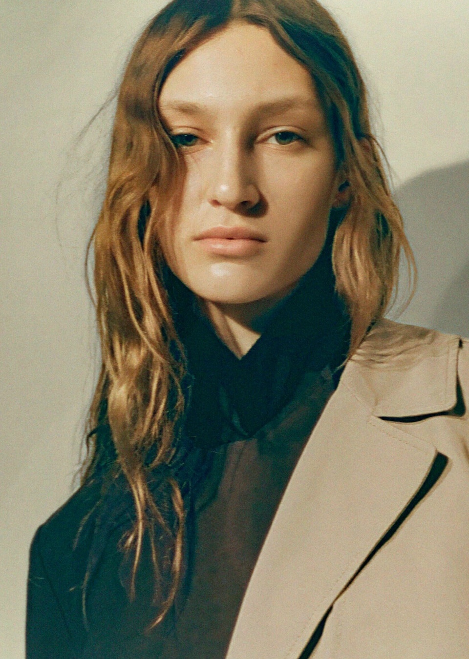 Model Image