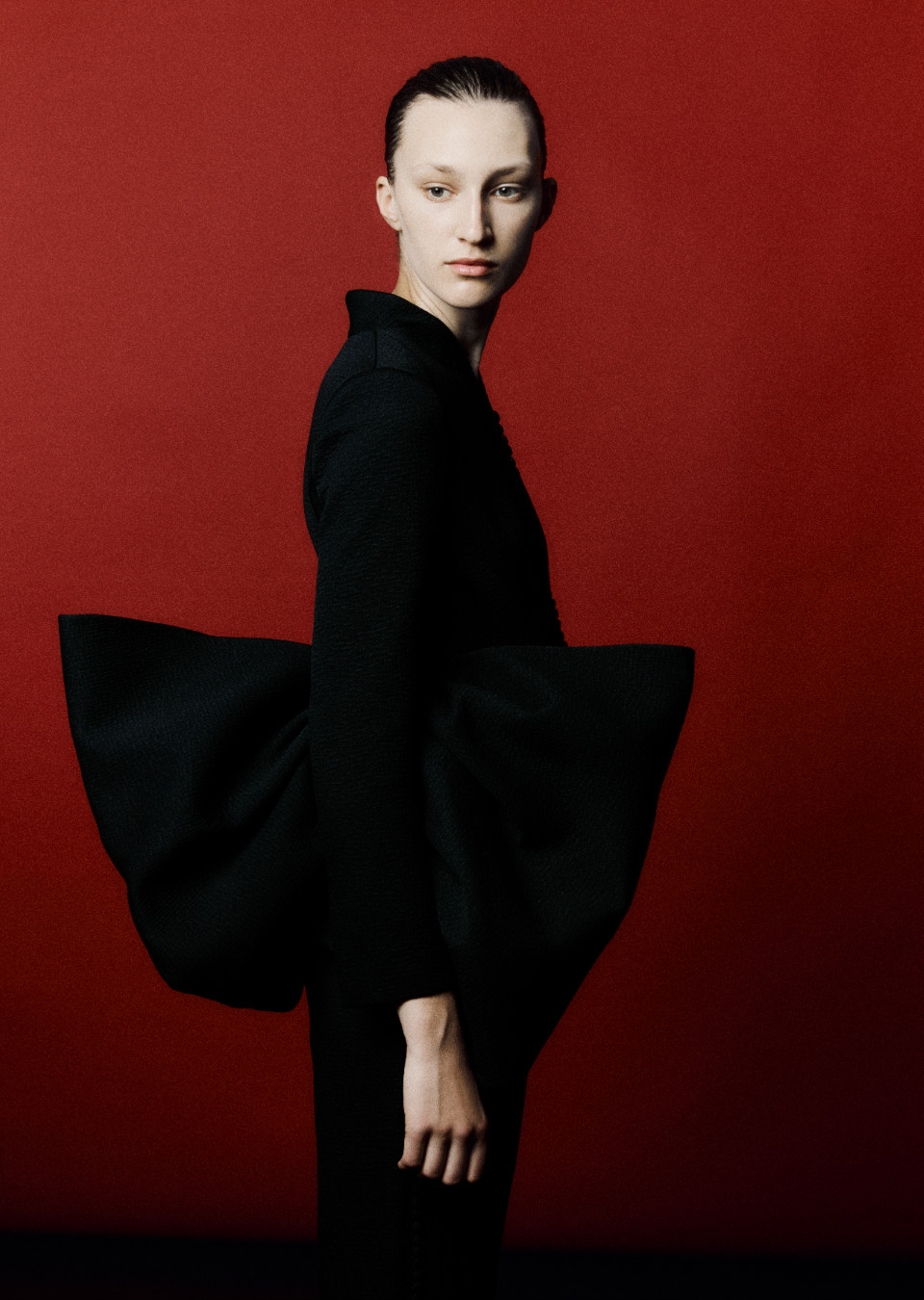 Model Image