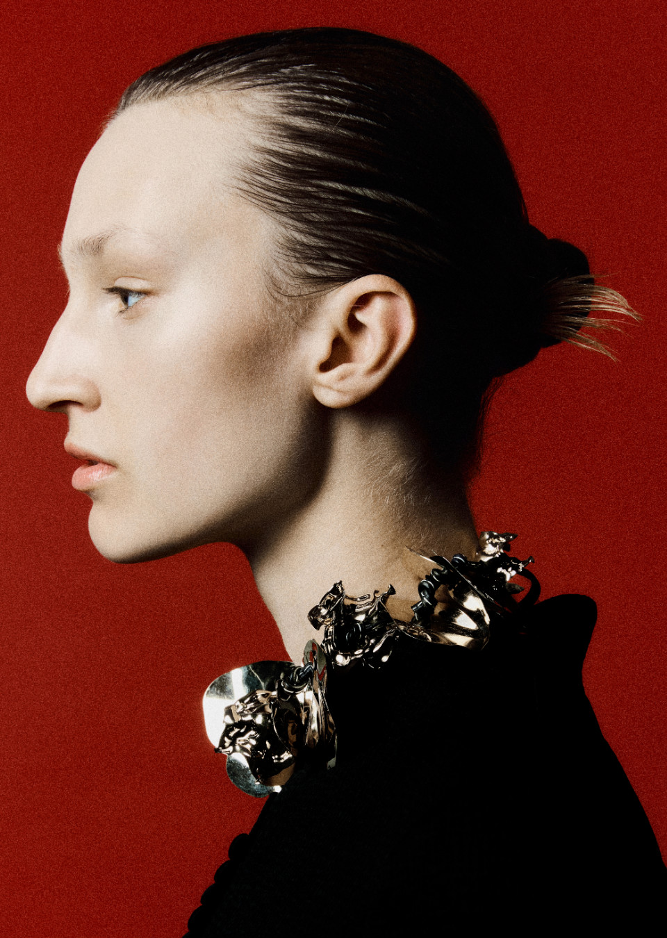 Model Image