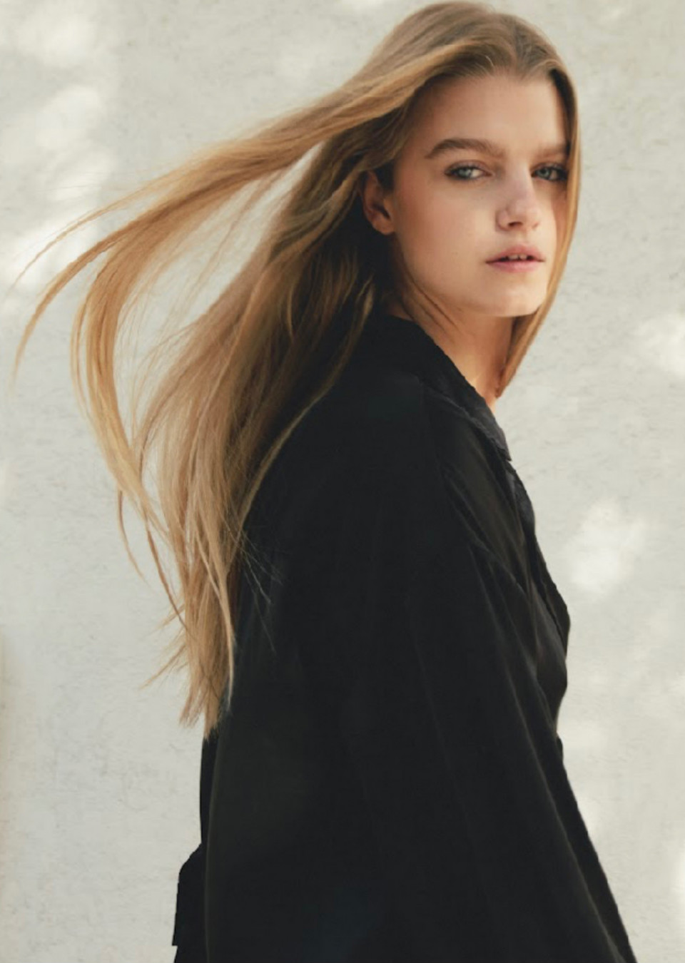Model Image