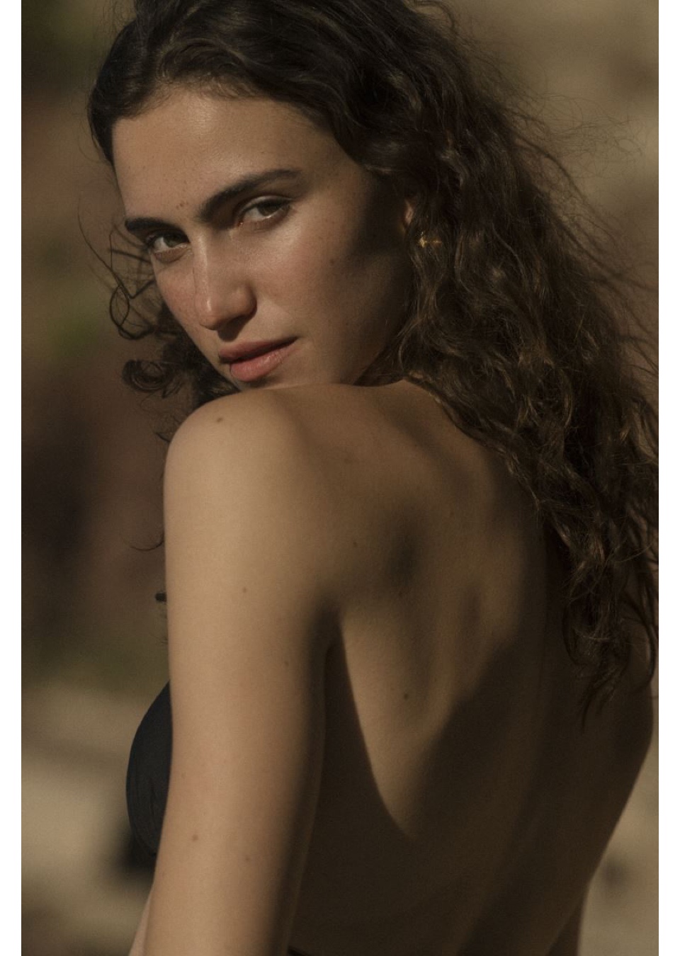 Model Image