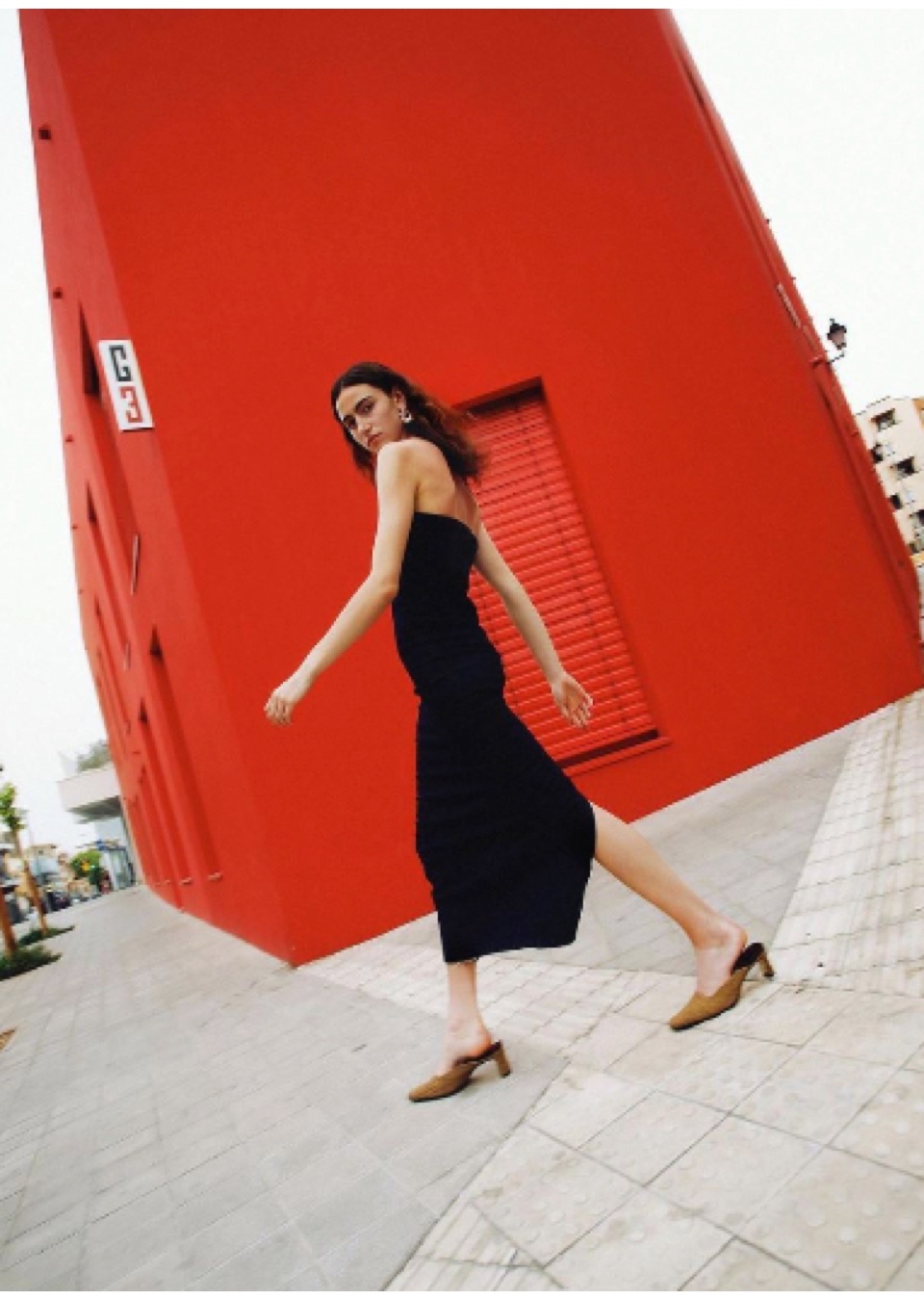 Model Image