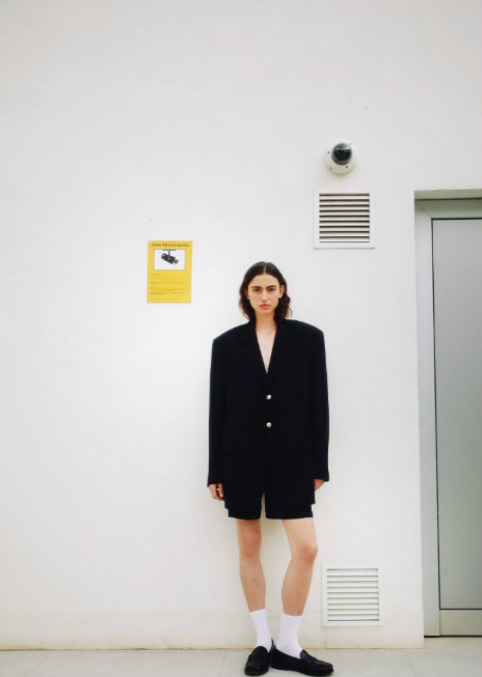 Model Image