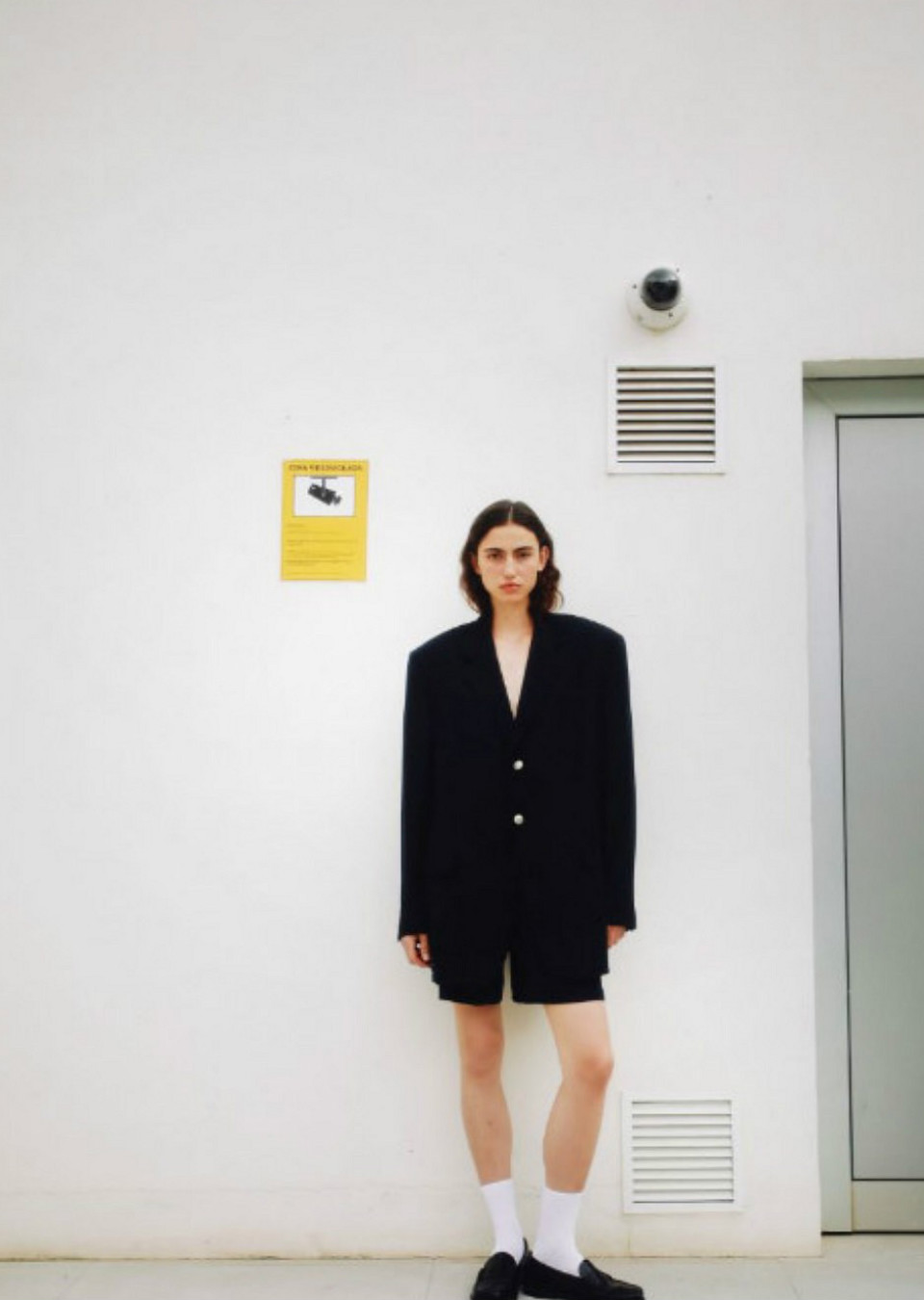 Model Image