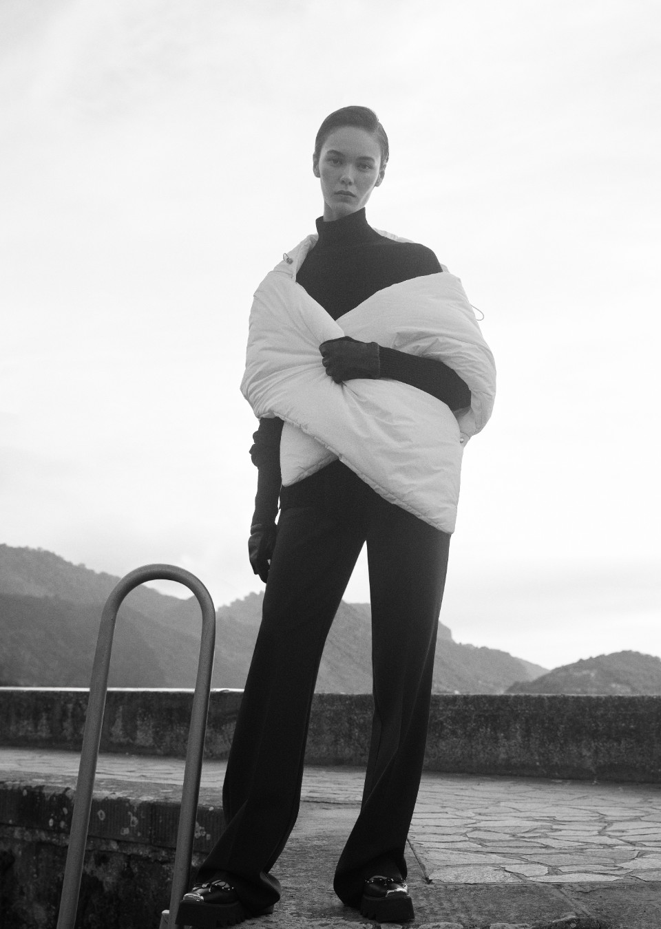 Model Image