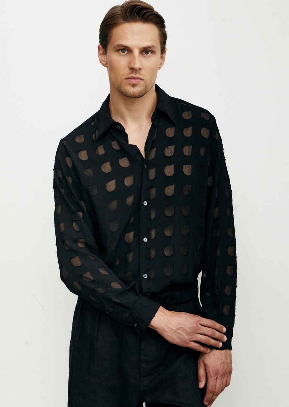 Model Image