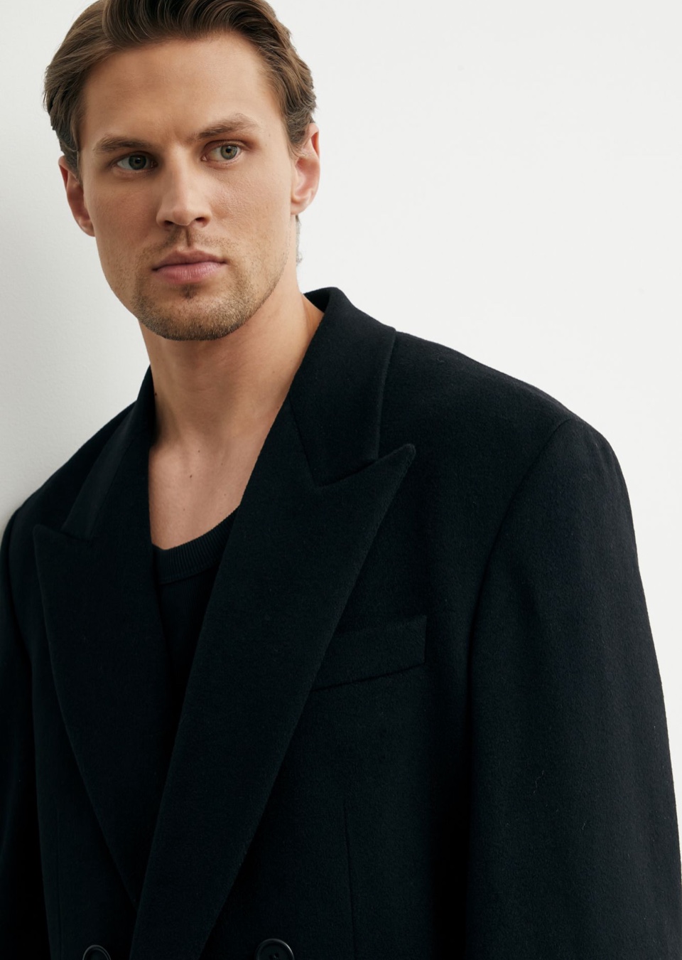 Model Image
