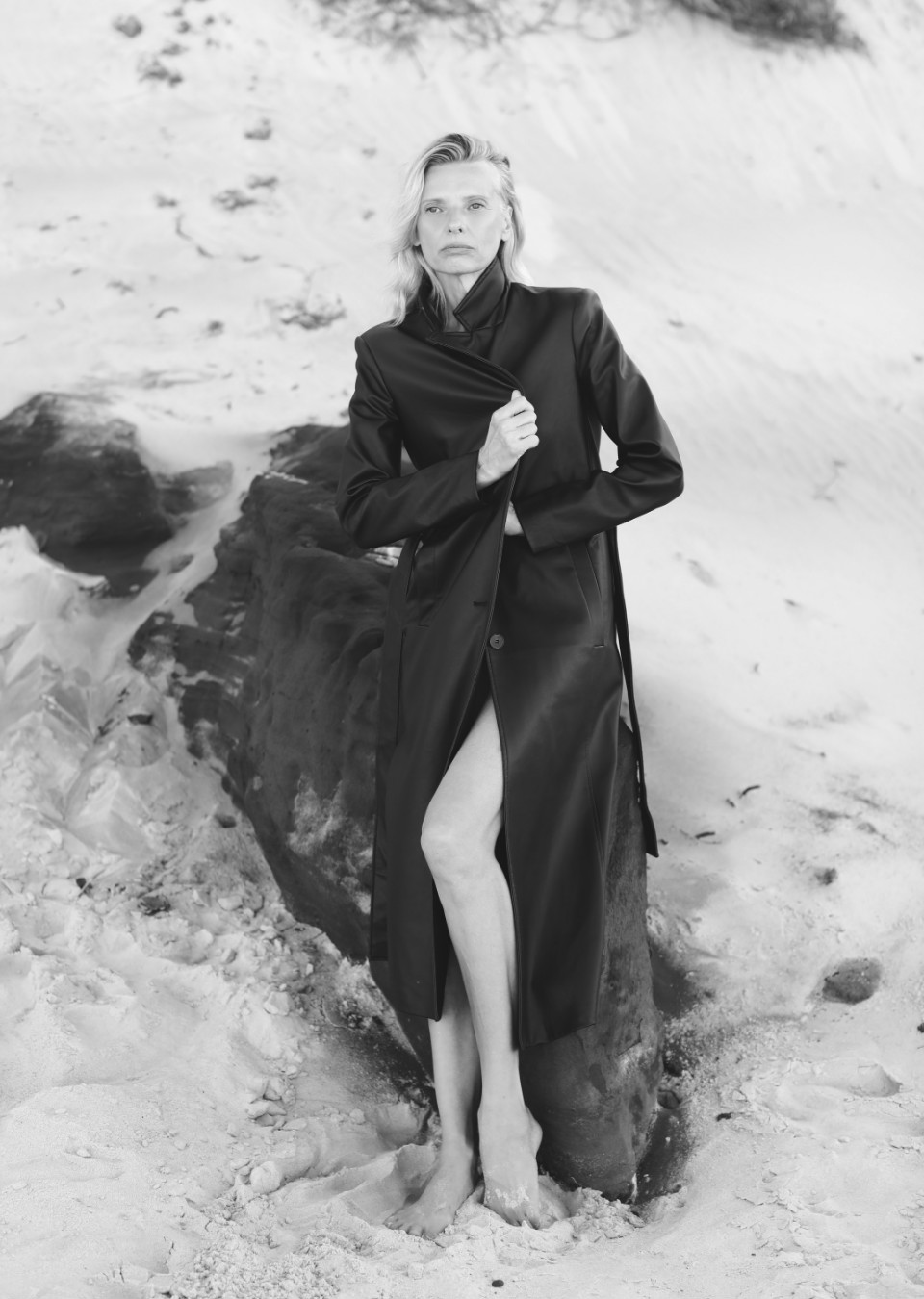 Model Image