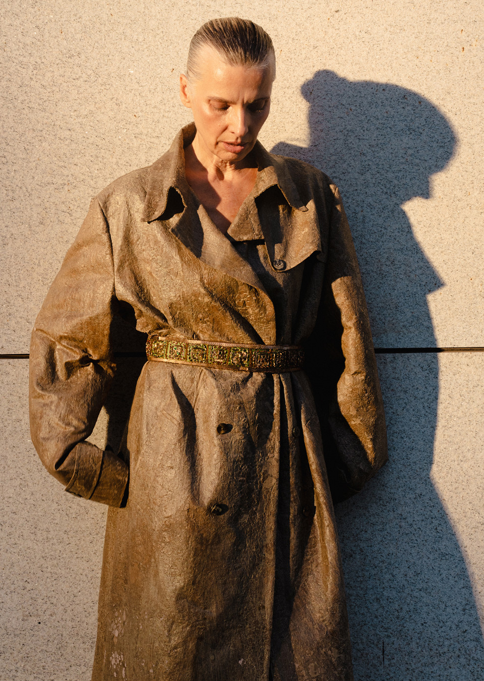 Model Image