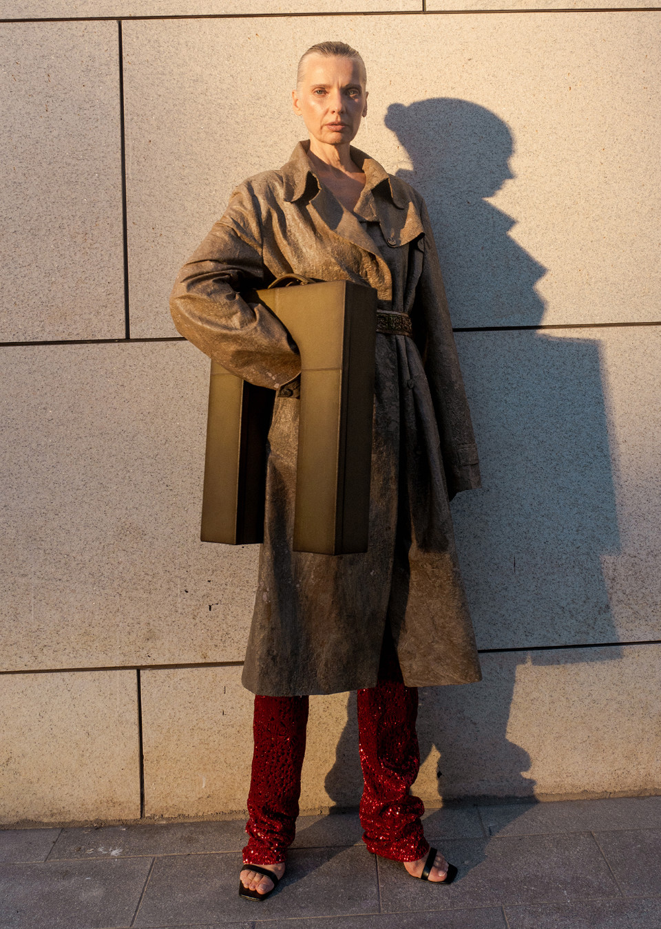 Model Image