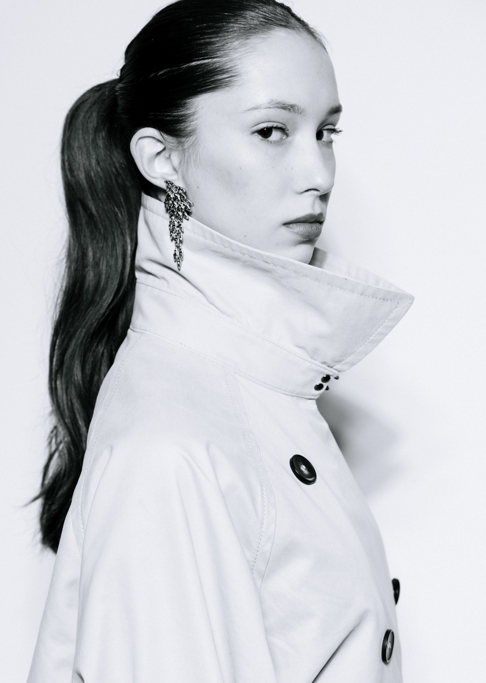 Model Image