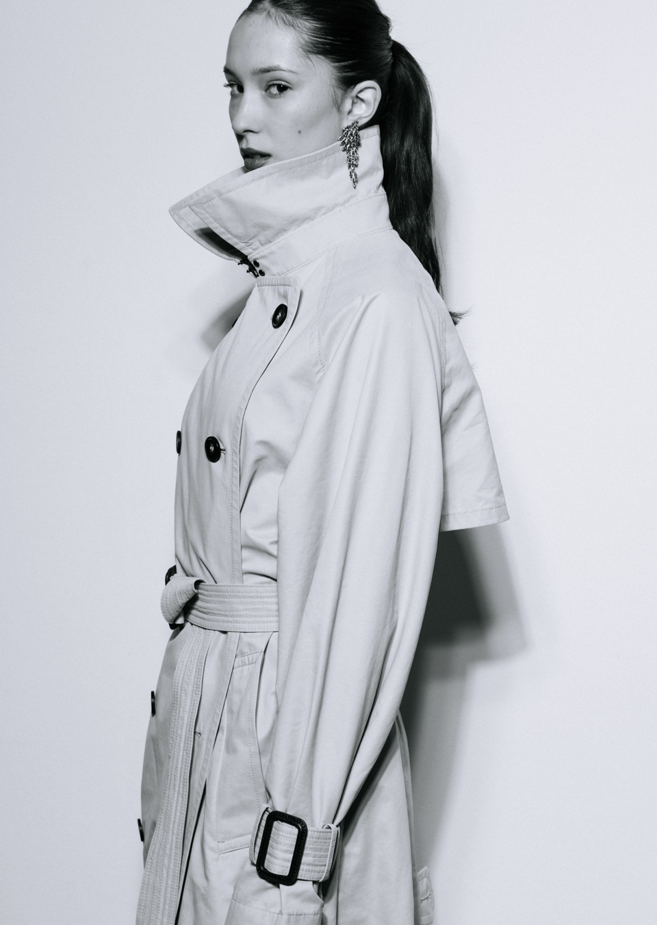 Model Image