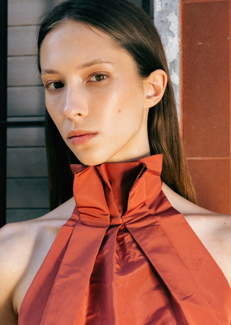Model Image