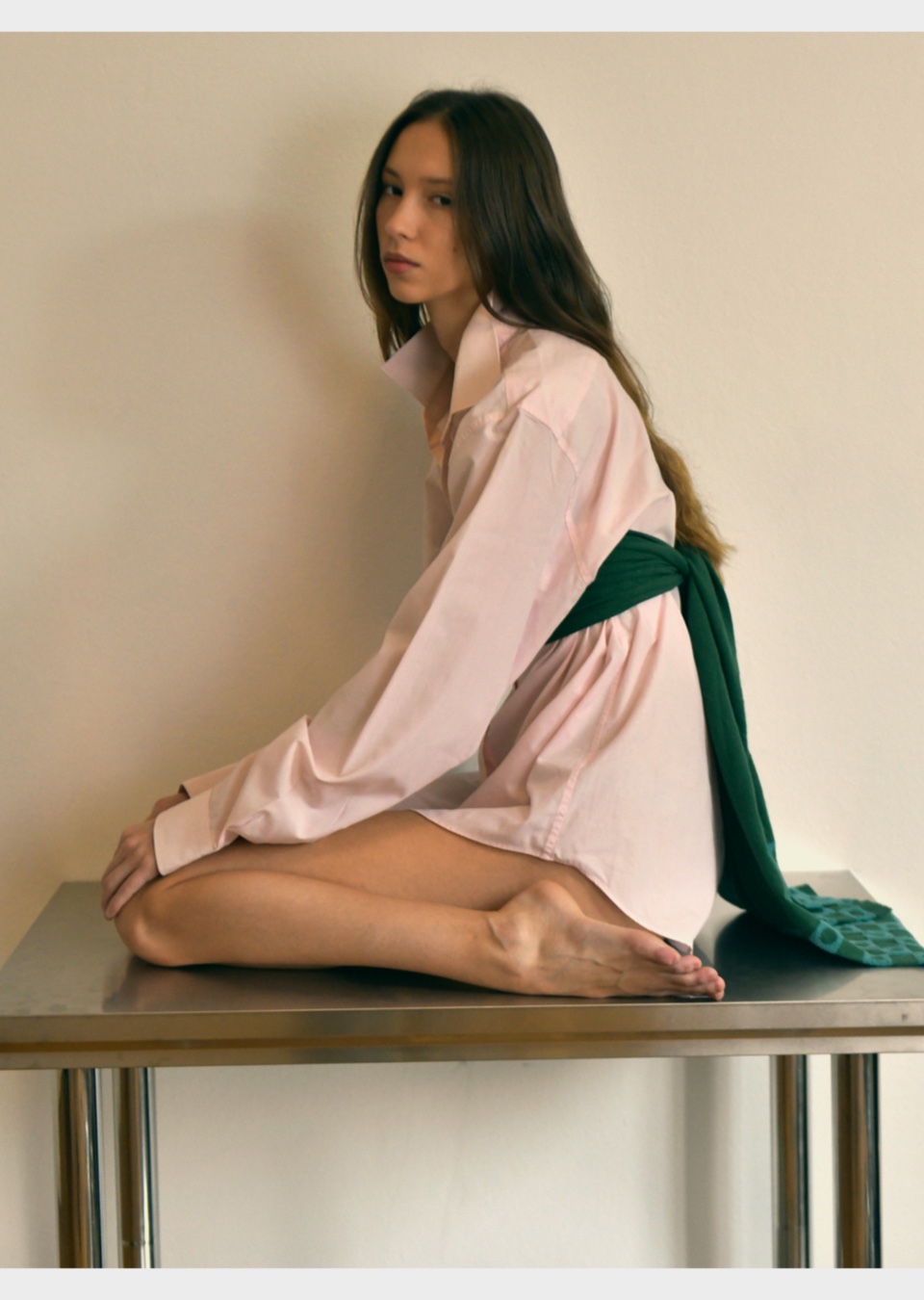 Model Image