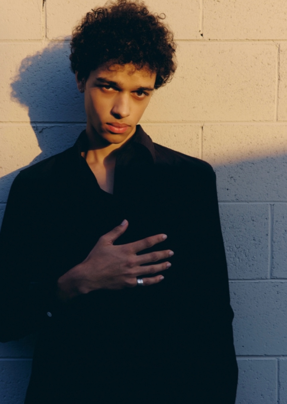 Model Image