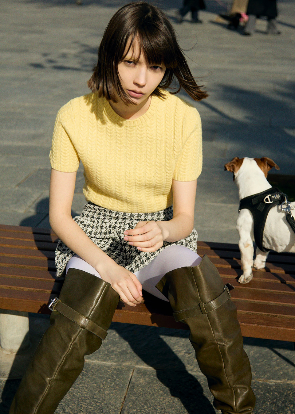 Model Image