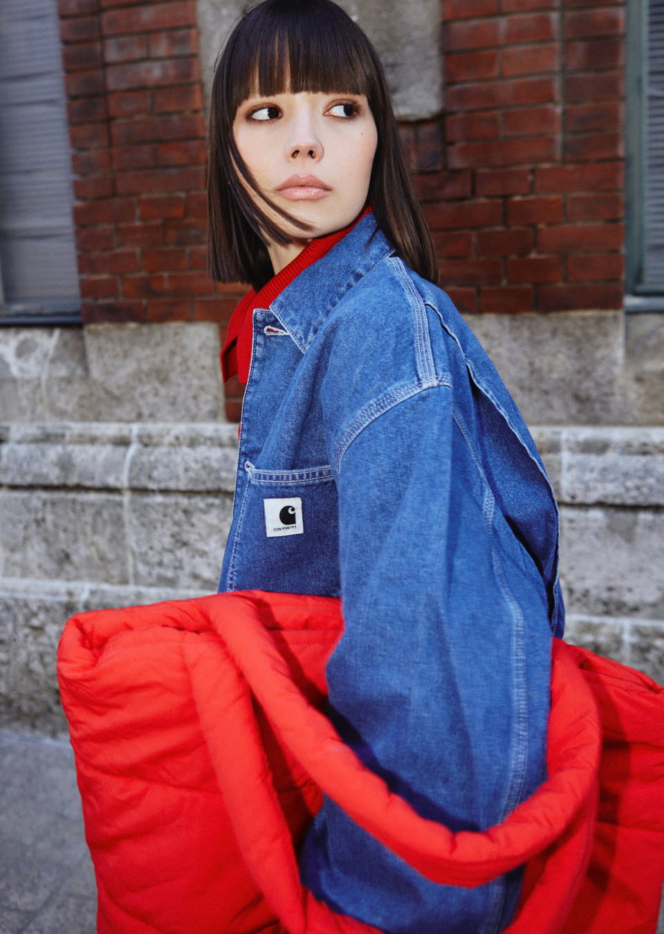 Model Image
