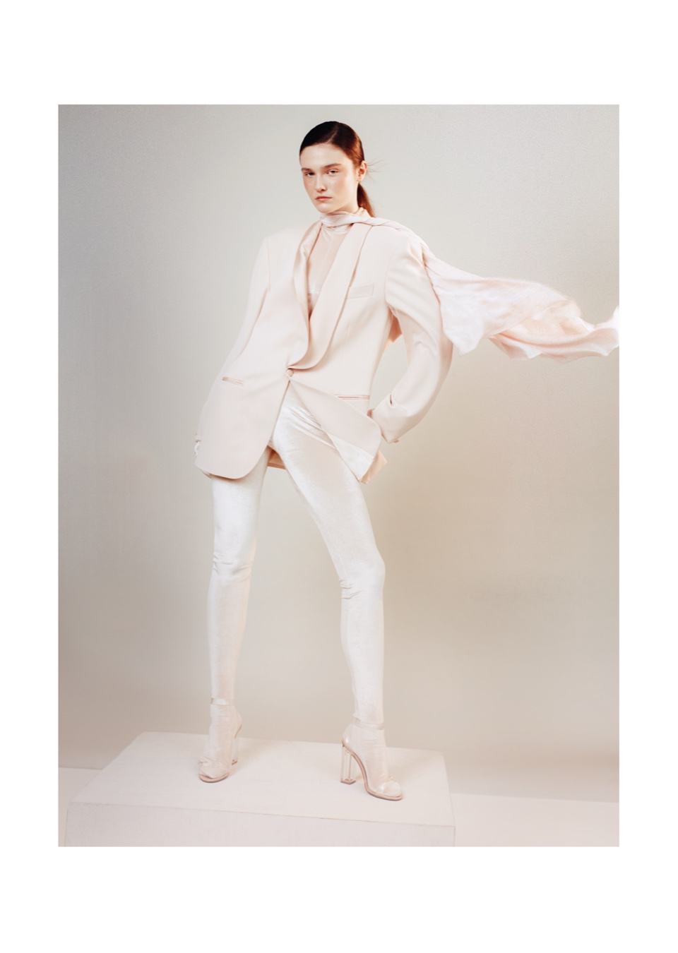 Model Image