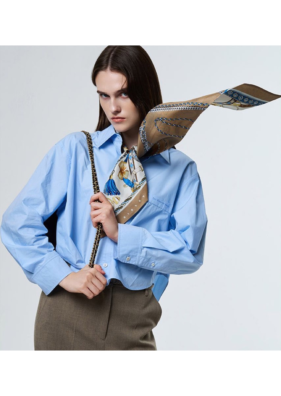 Model Image